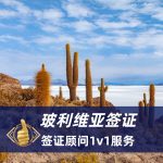 2025玻利维亚签证办理流程|玻利维亚签证材料