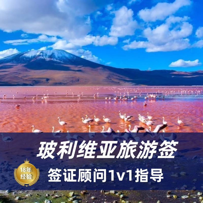 2025玻利维亚旅游签证材料|玻利维亚签证办理流程
